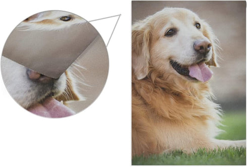 BlueViper Golden Retriever Dog Garden Flag Banner 12 x 18 Inch Decorative Garden Flag for Outdoor Lawn and Garden Home Décor Double-Sided...