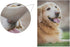 BlueViper Golden Retriever Dog Garden Flag Banner 12 x 18 Inch Decorative Garden Flag for Outdoor Lawn and Garden Home Décor Double-Sided...
