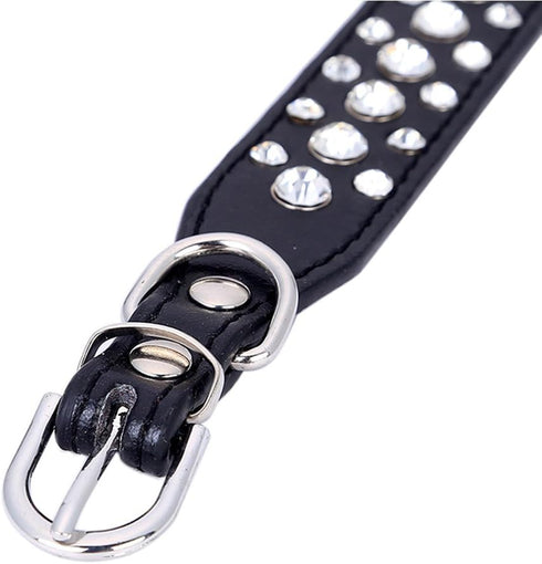 Dogs Kingdom 10"-24" Length Personalized Rhinestone Leather Bling Crystal Pet Dog Cat Collars for Small Medium Breeds Black XL...