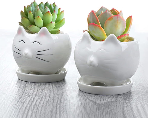 GeLive Cute Cat Succulent Planter Pot with Drainage Tray, White Ceramic Plant Container, Window Box, Unique Animal for Indoor Home Decor (White)...