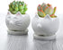 GeLive Cute Cat Succulent Planter Pot with Drainage Tray, White Ceramic Plant Container, Window Box, Unique Animal for Indoor Home Decor (White)...
