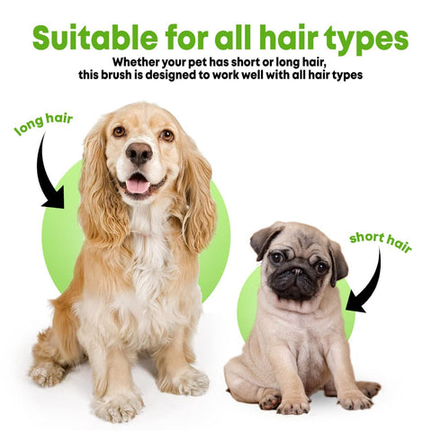 Pet Bath Massage Brush - Premium Cat and Dog Bath Brush Scrubber with Removable Cover - Soft Bristle Silicone Dog Brush for Short & Long Haired Pe...