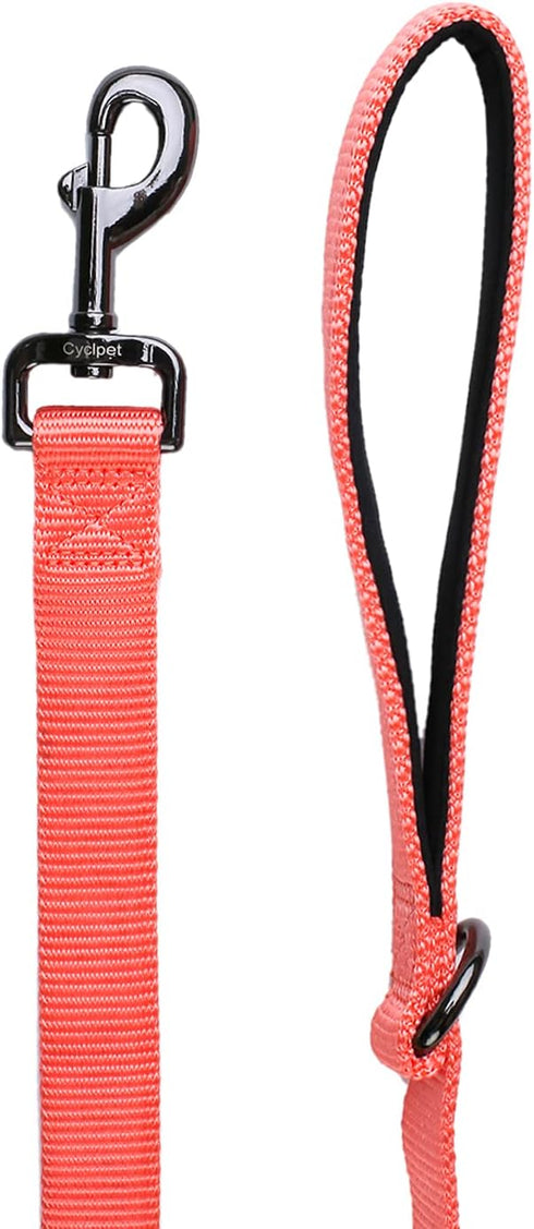 4 Feet Dog Leash with Padded Handle-Sturdy Nylon Dogs Leads for Small Medium Large Giant Dogs Walking,Training,Hiking,Jogging,Camping,etc (Living ...