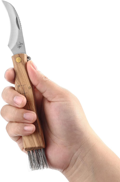 Outdoor Foldable Mushroom Knife Gardening Knife Portable Foraging Knife Fruit Picking Knife Natural Olive Wood Handle,2-Piece...