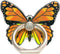 Butterfly Cell Phone Ring Holder,360°Rotation Phone Ring Grip Finger Kickstand Compatible with iPhone,Samsung Galaxy, iPad,Tablet, All Android Sma...