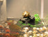 PINVNBY Turtles Dock for Aquarium Reptile Basking Platform for Turtles, Frogs, Newts (1 Pack)...