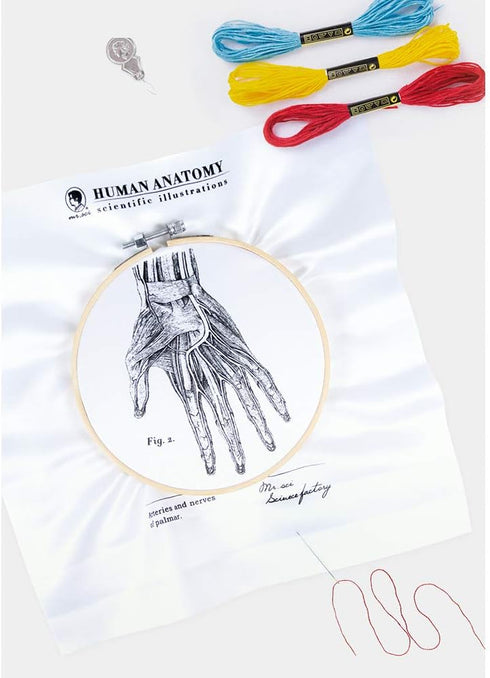 Mr. Sci Science Factory DIY Blood Vessel Embroidery Kit, Including Embroidery Cloth with 2 Pattern on Fabric, Embroidery Hoop, Color Threads and T...