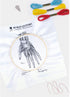 Mr. Sci Science Factory DIY Blood Vessel Embroidery Kit, Including Embroidery Cloth with 2 Pattern on Fabric, Embroidery Hoop, Color Threads and T...