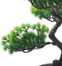 KOET Artificial Bonsai Pine Tree, 11Inch Faux Potted Plant Desk Display Fake Tree Pot Ornaments, Japanese Cedar Bonsai Plant for Home, Office Deco...