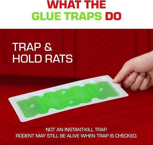 Tomcat Super Hold Glue Traps Rat Size for Rats, Mice, Snakes, Cockroaches, Spiders, and Scorpions, Ready-To-Use, 2 Traps...
