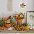Liveish Halloween Embroidery Kits, Embroidery kit for beginners adults,embroidery kits for beginners with Patterns and Instructions.(Halloween Pum...
