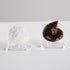 Clear Acrylic Rocks Display Stand, 1.9Inch Three-Peg Round Acrylic Display Easels Holders for Gemstone Agate Slices Crystals Painted Rocks Mineral...