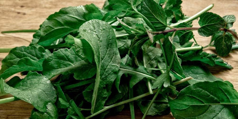 Sow Right Seeds - Arugula Seeds for Planting - Non-GMO Heirloom Seeds with Instructions to Plant a Home Vegetable Garden - Indoors, Hydroponics or...