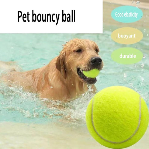 6 Pcs Dog Chew Toys Interactive Dog Toys Interactive Tennis The Rubber Material is Full of Elasticity Suitable for Small and Medium Sized Dogs...