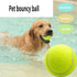 6 Pcs Dog Chew Toys Interactive Dog Toys Interactive Tennis The Rubber Material is Full of Elasticity Suitable for Small and Medium Sized Dogs...