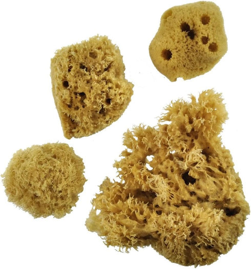 Royal & Langnickel Sea Silk Sponges Pack of 4...