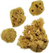 Royal & Langnickel Sea Silk Sponges Pack of 4...