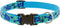 LupinePet Originals 3/4" Turtle Reef 13-22" Adjustable Collar for Medium and Larger Dogs...