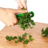 Green Leaf Herb Stripper,Vegetable Herb Eliminator Comb Kitchen Herb Leaf Stripping Tool Herb Pealer for Kale, Chard, Collard Greens, Thyme,Kitche...