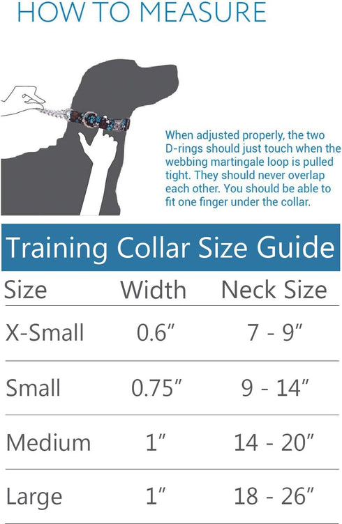 RC Pets 0.6" Martingale Training Dog Collar, X-Small, Eighties...
