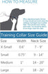 RC Pets 0.6" Martingale Training Dog Collar, X-Small, Eighties...