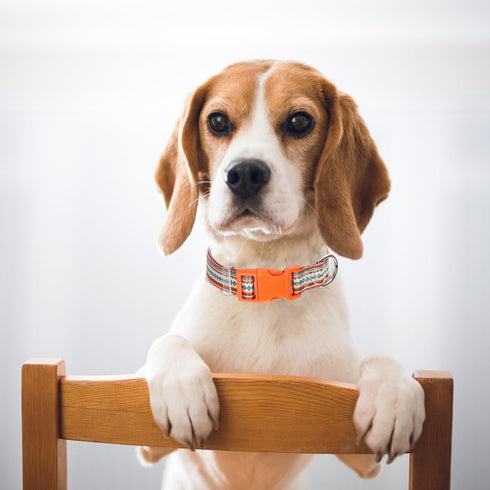 Orange Dog Collar for Large Dogs, Cute boy Girl Dog Collar with Tribal Ethnic Aztec Patterns,Adjustable Comfy Soft Dog Collar Pet Cat Collar for X...