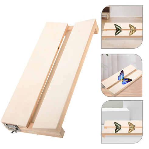 Yardwe Specimen Display Board Pinning Board Adjustable Labs Boards Butterfly Mounting Specimen Spreading Wings Board for Science Education...