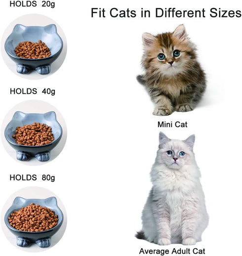 Nihow Ceramic Basic Cat Bowls: 5 Inch Cat Bowl for Food & Water - Food Grade Cat Dish for Small-Sized Cat - Microwave & Dishwasher Safe -Elegant G...