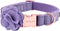 ARING PET Velvet Dog Collar, Purple Dog Collars with Detachable Felt Flower, Adjustable Soft Comfortable Dogs Collar Flower with Metal Buckle for ...
