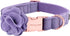 ARING PET Velvet Dog Collar, Purple Dog Collars with Detachable Felt Flower, Adjustable Soft Comfortable Dogs Collar Flower with Metal Buckle for ...