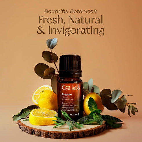 Gya Labs Breathe Essential Oil Blends - 100% Pure Natural Breathe Easy Essential Oils from Eucalyptus, Peppermint and More for Humidifier Cleaner ...