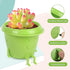 2-Pack Smiling Cute Plant-Pots - Plastic Funny Face Flower Pots with Drainage, Unique Cute Planters for Indoor Plants, Gifts for Plant Lovers...