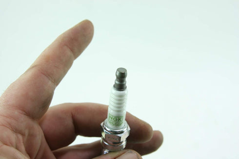 NGK (3403) TR55GP G-Power Spark Plug, Pack of 1...