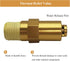 7101359 Thermal Relief Valve for Gas Powered Pressure Washer Pumps, 1/4 Inch NPT...