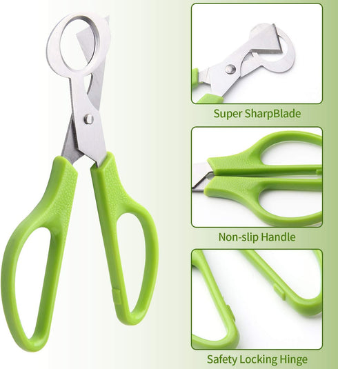Calary 3Pcs Quail Egg Cutter Scissors Kitchen Egg Shears Tool (Green)...