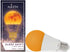 Harth - Sleep-Shift Sleep Ready Light, 7 watt Dimmable LED Amber Bulb. Supports Healthy Sleep Patterns with Ambient Low Blue Night Light, Pack of ...