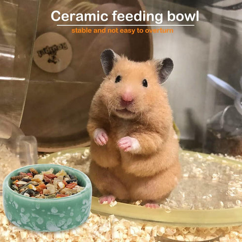 2 Pcs Hamster Ceramic Food Bowl Chew-Resistant Food and Water Dish for Hamster Rat Small Animals (Green and Purple)...