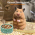 2 Pcs Hamster Ceramic Food Bowl Chew-Resistant Food and Water Dish for Hamster Rat Small Animals (Green and Purple)...