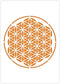 Mandala Stencil - A4 Mandala Stencil for Furniture, Walls, Floors - Mandalas for DIY Home Decor - Reusable Kids Friendly DIY Mandala Stencil for P...