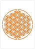 Mandala Stencil - A4 Mandala Stencil for Furniture, Walls, Floors - Mandalas for DIY Home Decor - Reusable Kids Friendly DIY Mandala Stencil for P...