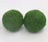 Nice purchase Handmade Natural Green Plant Moss Balls Decorative for Home Party Display Decor Props (6 in)...