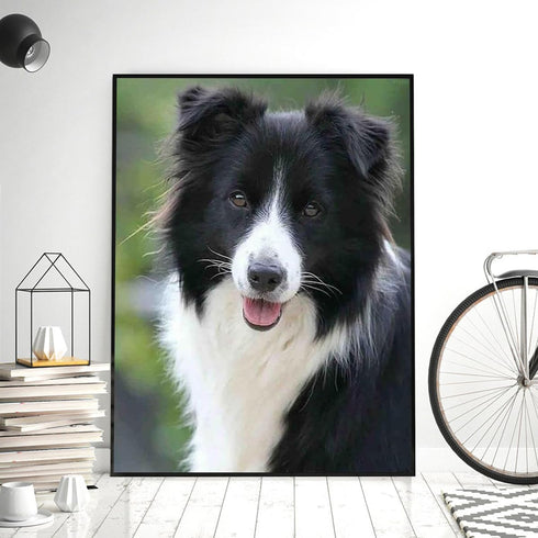IPISSOI 5D Diamond Painting Collie Dog DIY Round Full Diamond by Number Art Painting Kits Crafts Wall Decor Home Gift 12x16inch...