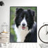 IPISSOI 5D Diamond Painting Collie Dog DIY Round Full Diamond by Number Art Painting Kits Crafts Wall Decor Home Gift 12x16inch...