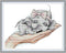Amiiba Stamped Cross Stitch Kits, Super Cute Baby Elephant DIY 11CT 10.6x8.6 inch (Elephant)...