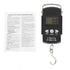 Hanging Scale 500Kg for Farm, Digital Scale for Vertical Hanging Weight, Industrial, Luggage Scale for Hunting, Bow Draw Weight...