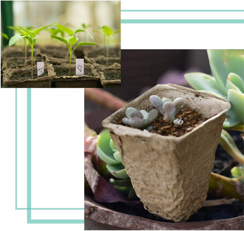 JOYSEUS 3.25" Seed Starter Pots, Organic Planting Peat Pots for Indoor Garden Seedling, 30 Pcs 100% Eco-Friendly and Biodegradable for Seed Germin...