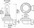 HELLA H9TB Standard Halogen Bulbs, 12 V, 65W...