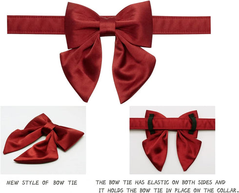 Lionet Paws Bowtie Dog Collar - Comfortable Silk Dog Collar with Detachable Bow Tie for Puppy and Cat, Neck 8-12 Inches...