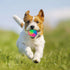 FineInno 4 pcs Large Light Up Dog Balls Flashing Elastic Ball Glow in The Dark Interactive Pet Toys for for Golden Retriever,Labrador,Large Dogs...