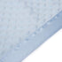 Pro Goleem Baby Soft Minky Dot Blanket with Silky Satin Backing Baby Gifts for Girls and Boys (Blue, 30’’ x 40’’)...